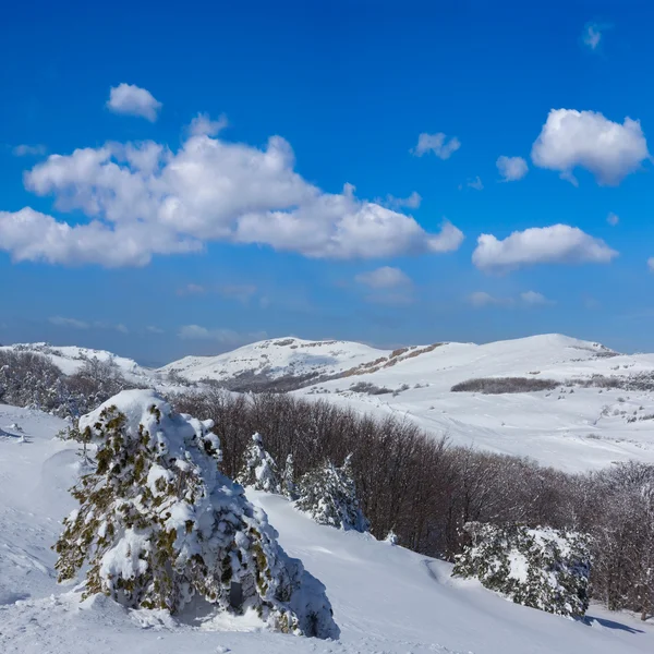 Scène de montagne hivernale — Photo