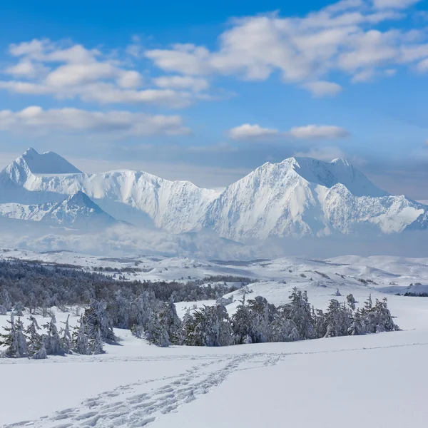 Winter berg scène — Stockfoto