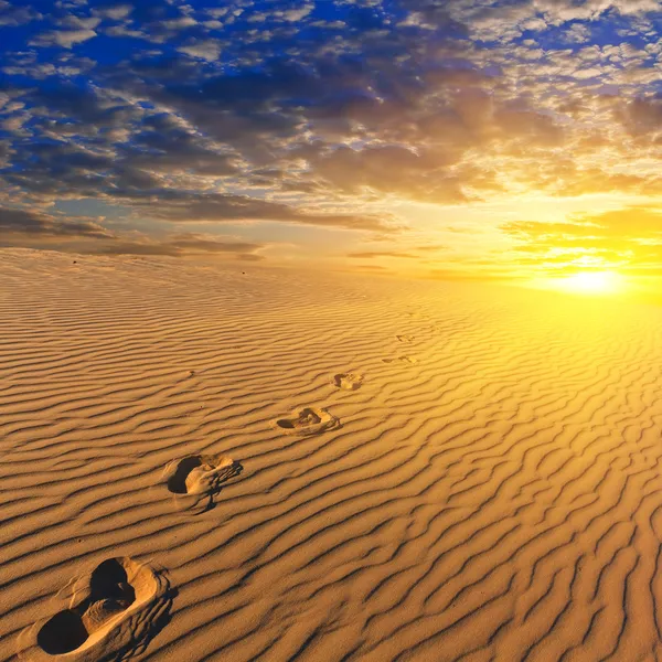 Este homokos sivatagban — Stock Fotó