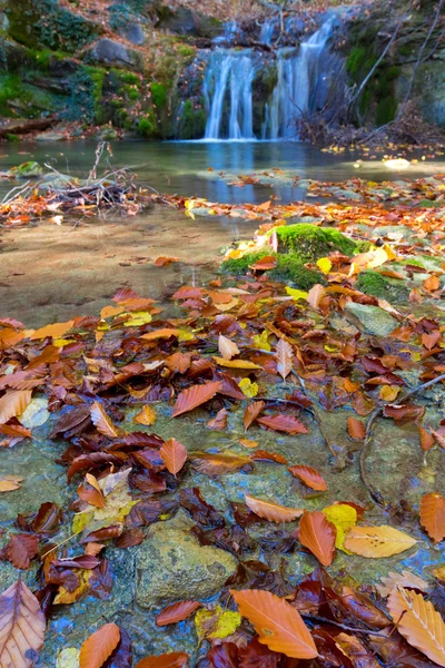 Small waterfall — Stock Photo, Image