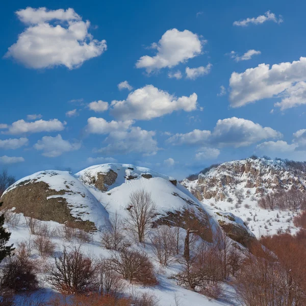 山中雪 — 图库照片