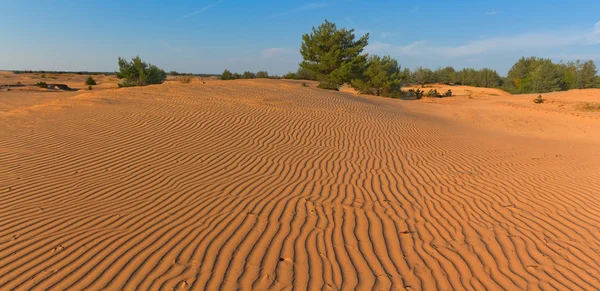 Piaszczysta pustynia panorama — Zdjęcie stockowe