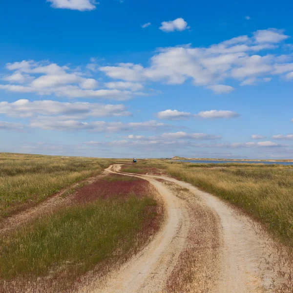 草原之间的地面道路 — 图库照片