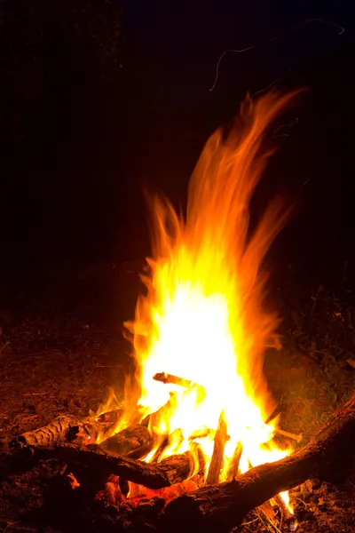 Camp fire at the night — Stock Photo, Image