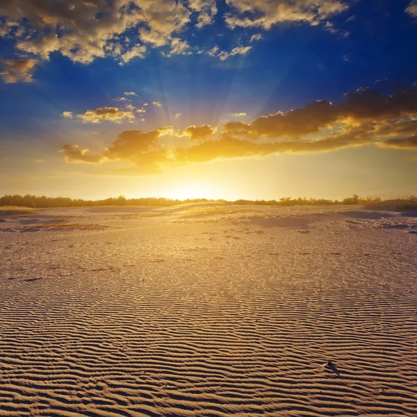 Puesta de sol en un desierto — Foto de Stock