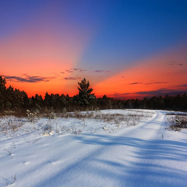 's avonds snowbound plains — Stockfoto