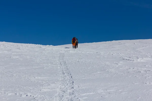 Grupo de caminhantes entre planícies de inverno — Fotografia de Stock