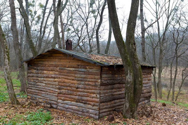 Holzhaus im herbstlichen Wald — Stockfoto