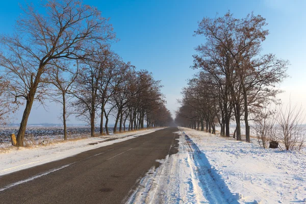 Route asphaltée dans une plaine d'hiver — Photo