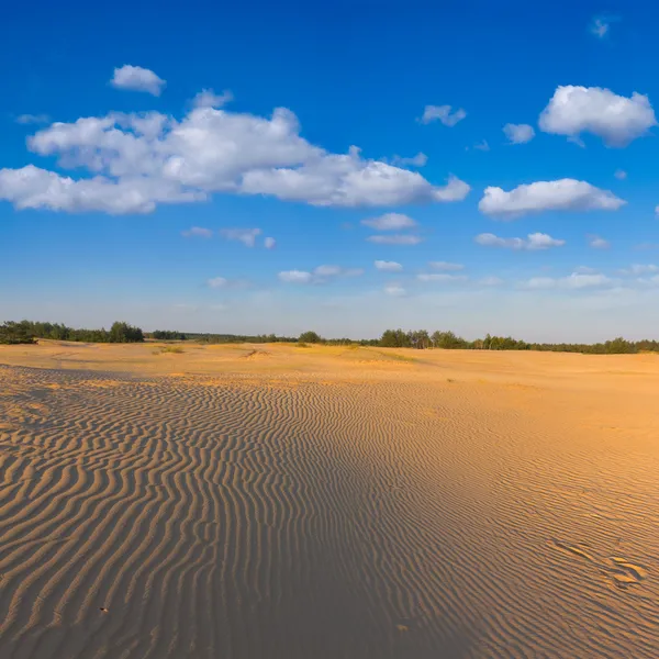 모래 사막 장면 — 스톡 사진