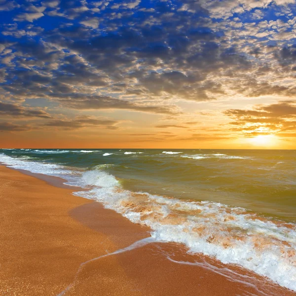 Sunset bulvarında bir deniz — Stok fotoğraf