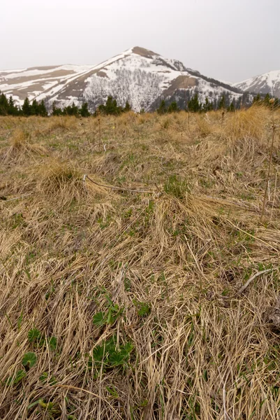 Steppe near a mountain foot — стоковое фото