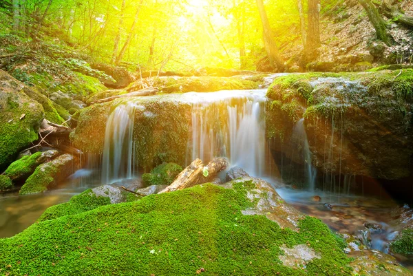 Pequena cachoeira bonita — Fotografia de Stock