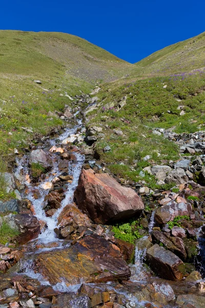 En kilde til en fjellelv – stockfoto