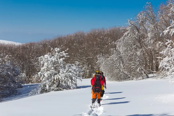 Senderistas en un bosque de invierno —  Fotos de Stock