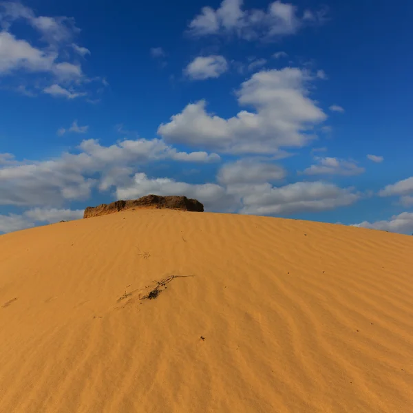 Duna em um deserto de areia — Fotografia de Stock