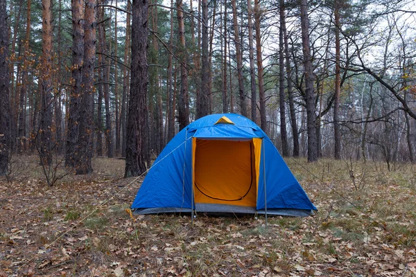 Niebieski namiot turystyczne w lesie jesienią — Zdjęcie stockowe
