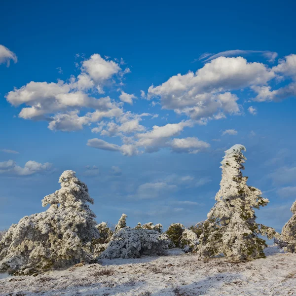 Vinter scen — Stockfoto