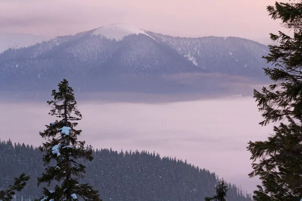 Abendberge — Stockfoto