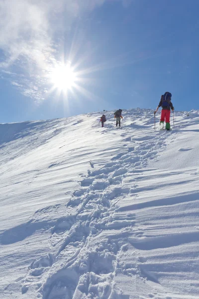 Hikers walk upwards — Stock Photo, Image