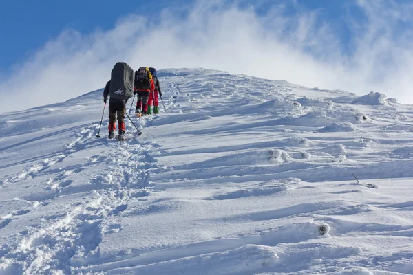 Touristic group in a winter mountains — Stock Photo, Image