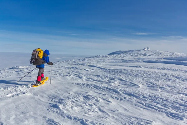 Excursionista de invierno — Foto de Stock