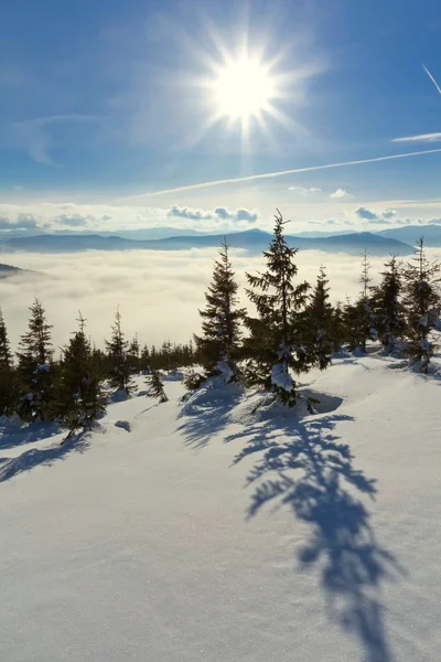 Зимові гори ліс — стокове фото