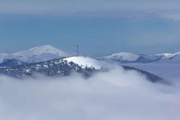 겨울 산 안개 위에 — 스톡 사진