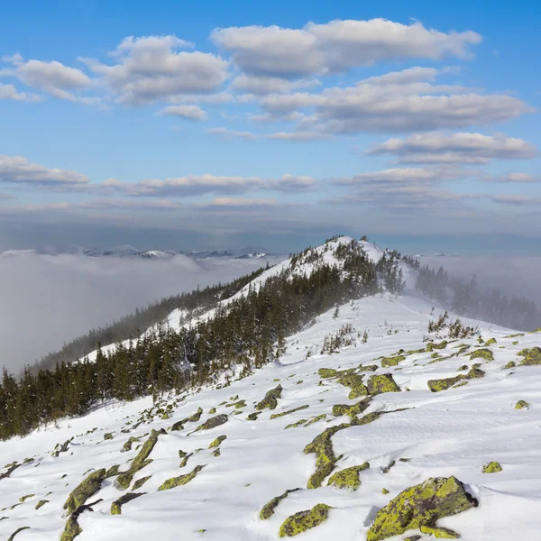 Inverno cena de montanha — Fotografia de Stock