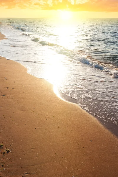 海洋海岸日落 — 图库照片