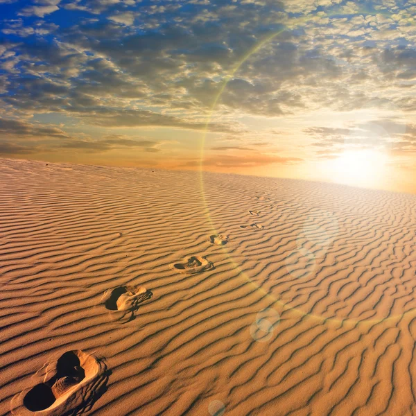 Atardecer estilizado sobre un desierto arenoso — Foto de Stock