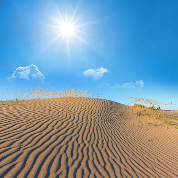 Letní horké pouště scéna — Stock fotografie
