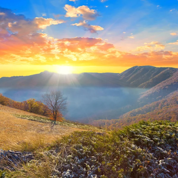 Early morning in a mountains — Stock Photo, Image