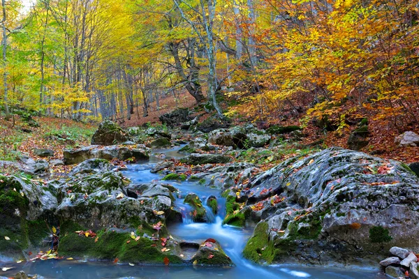 Río en un cañón de montaña — Foto de Stock