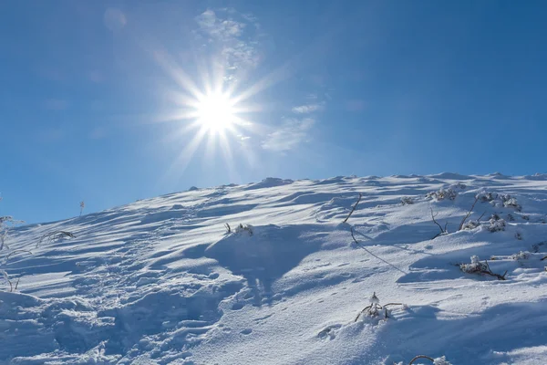 Солнечный зимний день — стоковое фото