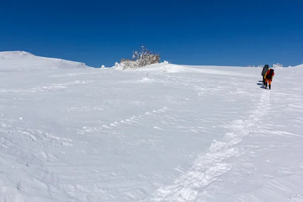 Caminhantes em uma planície de inverno — Fotografia de Stock