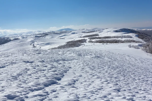 雪の丘 — ストック写真