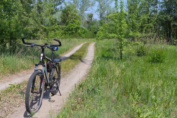 Bicicleta em uma estrada florestal — Fotografia de Stock