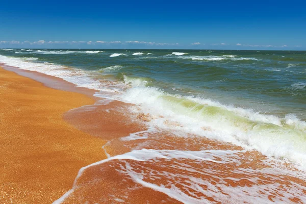 Summer sea scene — Stock Photo, Image