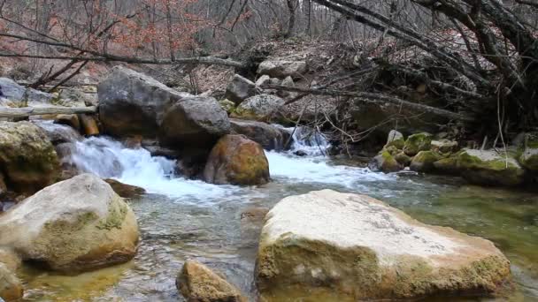 Fiume di montagna — Video Stock