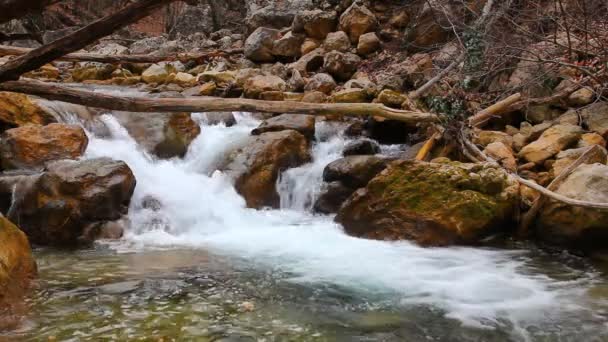 Каменистая река — стоковое видео