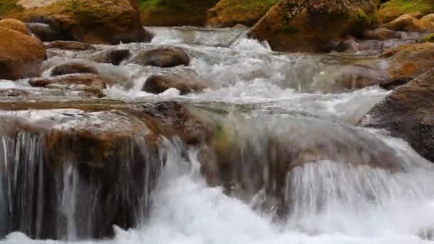 Nahaufnahme Wasserkaskaden — Stockvideo