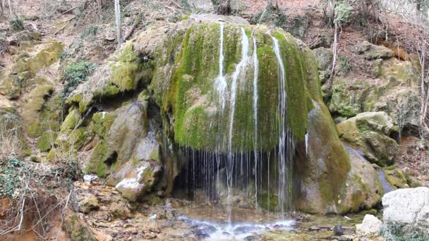 Красивий водоспад сцени — стокове відео