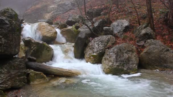 Wasserfall auf einem Fluss — Stockvideo
