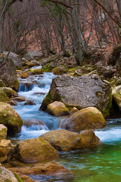 Corriendo río de montaña — Foto de Stock
