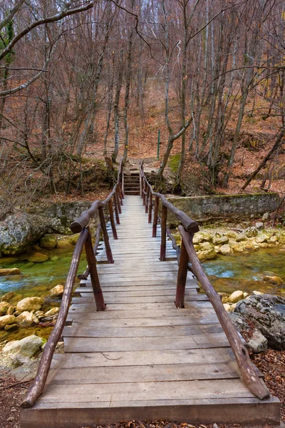 Pont en bois traversant une rivière — Photo