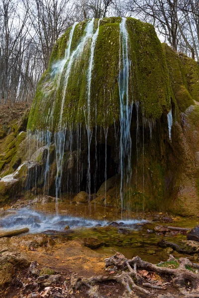 Beautiful waterfall in a moss — Stock Photo, Image