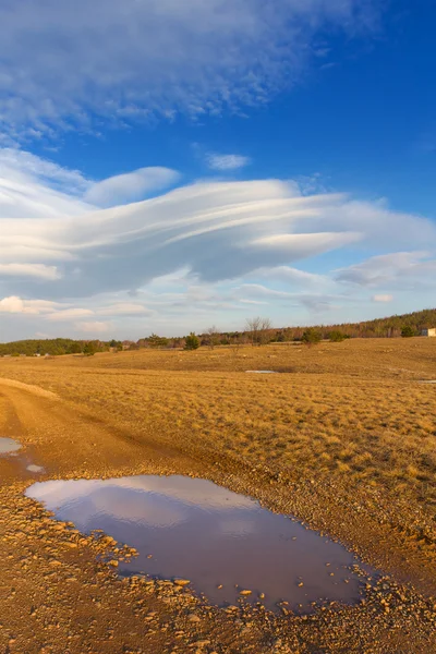 Spring steppe — Stock Photo, Image