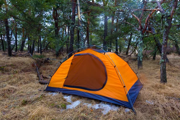 bir ormandaki turuncu turistik çadır