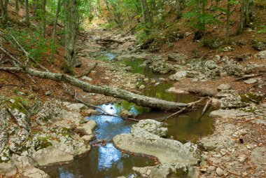 Dağ kanyonunda küçük bir nehir